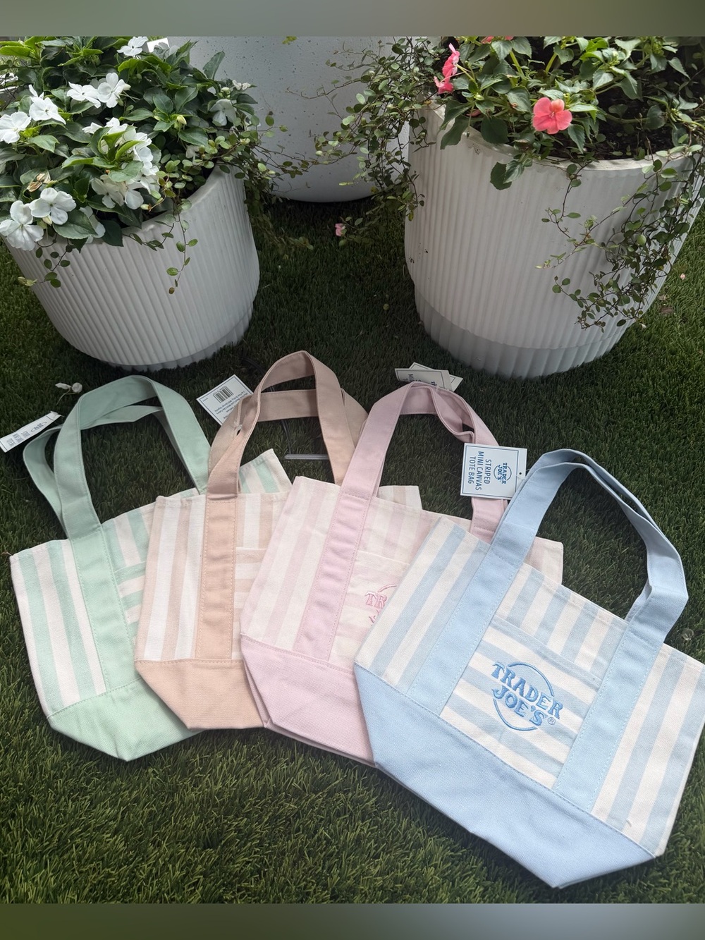 Trader Joe’s Summer 2026 Mini Canvas Tote Set of 4 | NWT | Viral Limited Edition